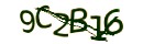 Mã bảo mật